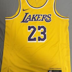 LeBron James Jersey - Los Angeles Lakers (23)