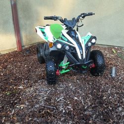 Green Quad 1000w E Racer Sports