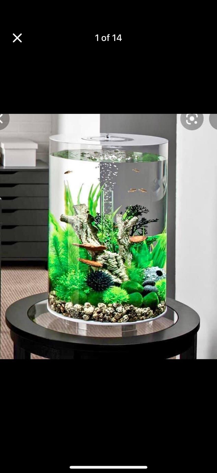 BiUbe Pure Aquarium Fish Tank