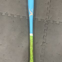 Vicious Baseball Bat 31inch Custom Model Jrod Jr