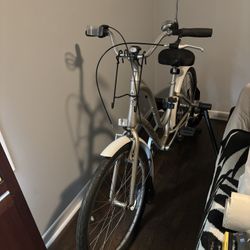 Bike-Townie 3 Speed