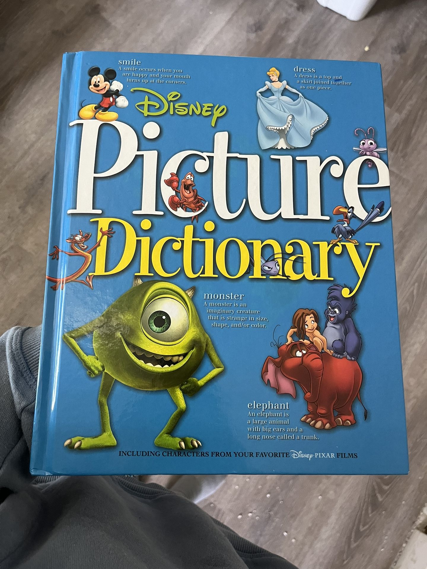 Disney Picture Dictionary 