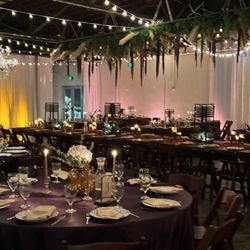 Preserved Amaranthus Flowers