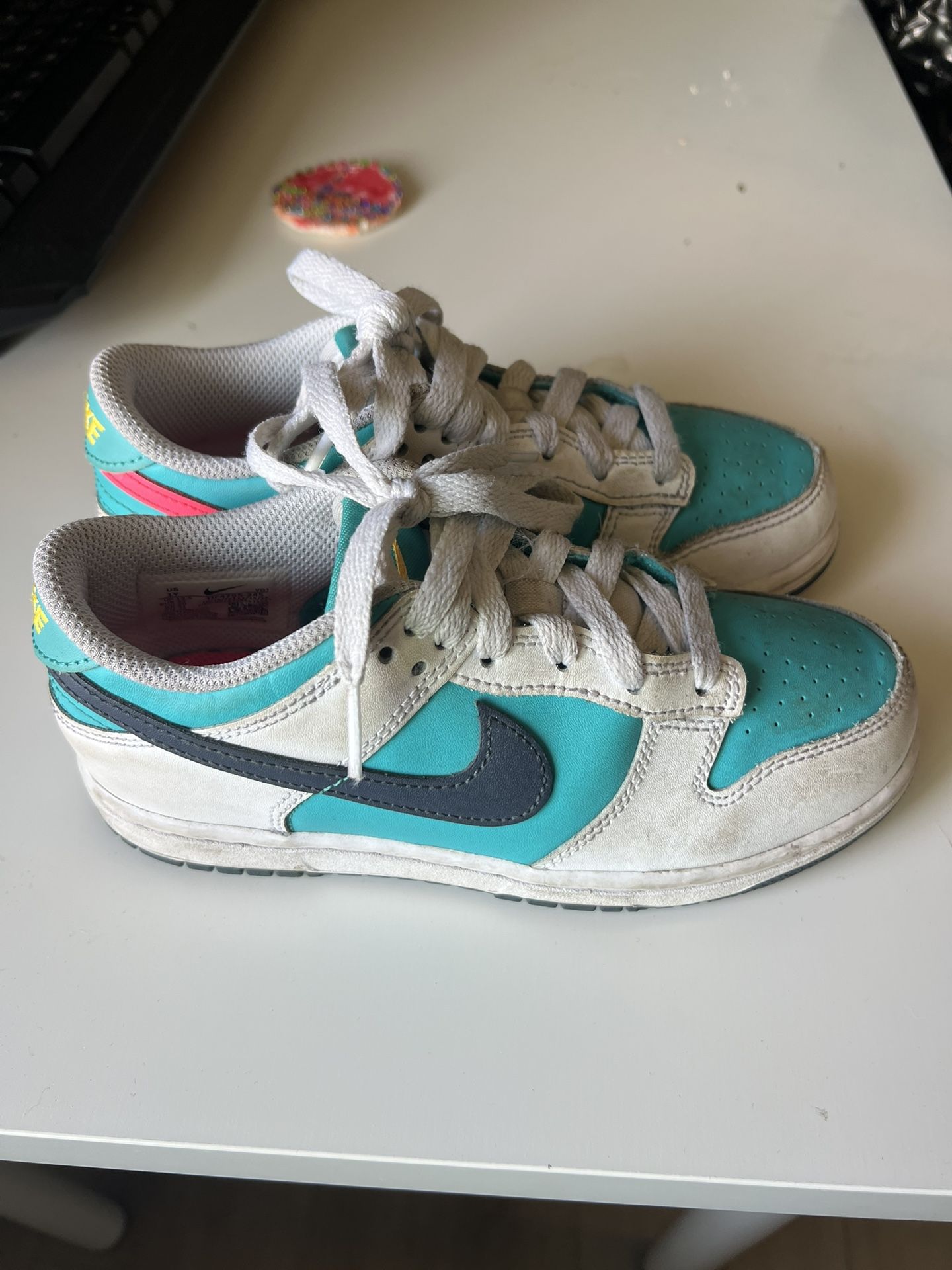 Nike Dunks Kids