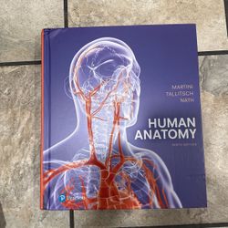Human anatomy