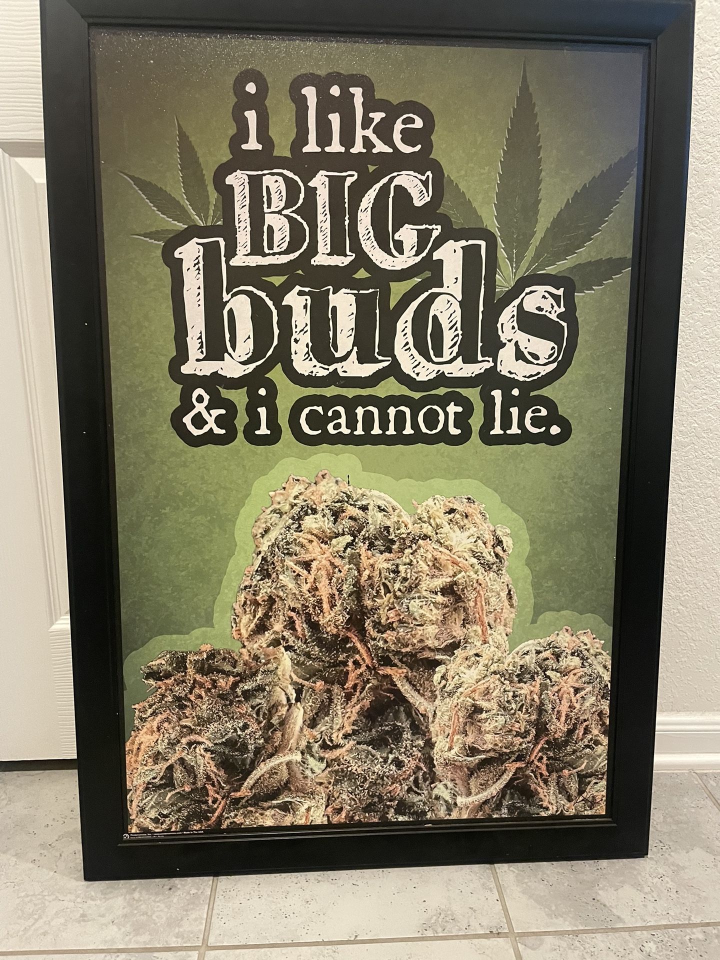 Big Buds Photo