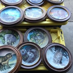 Collector Plates