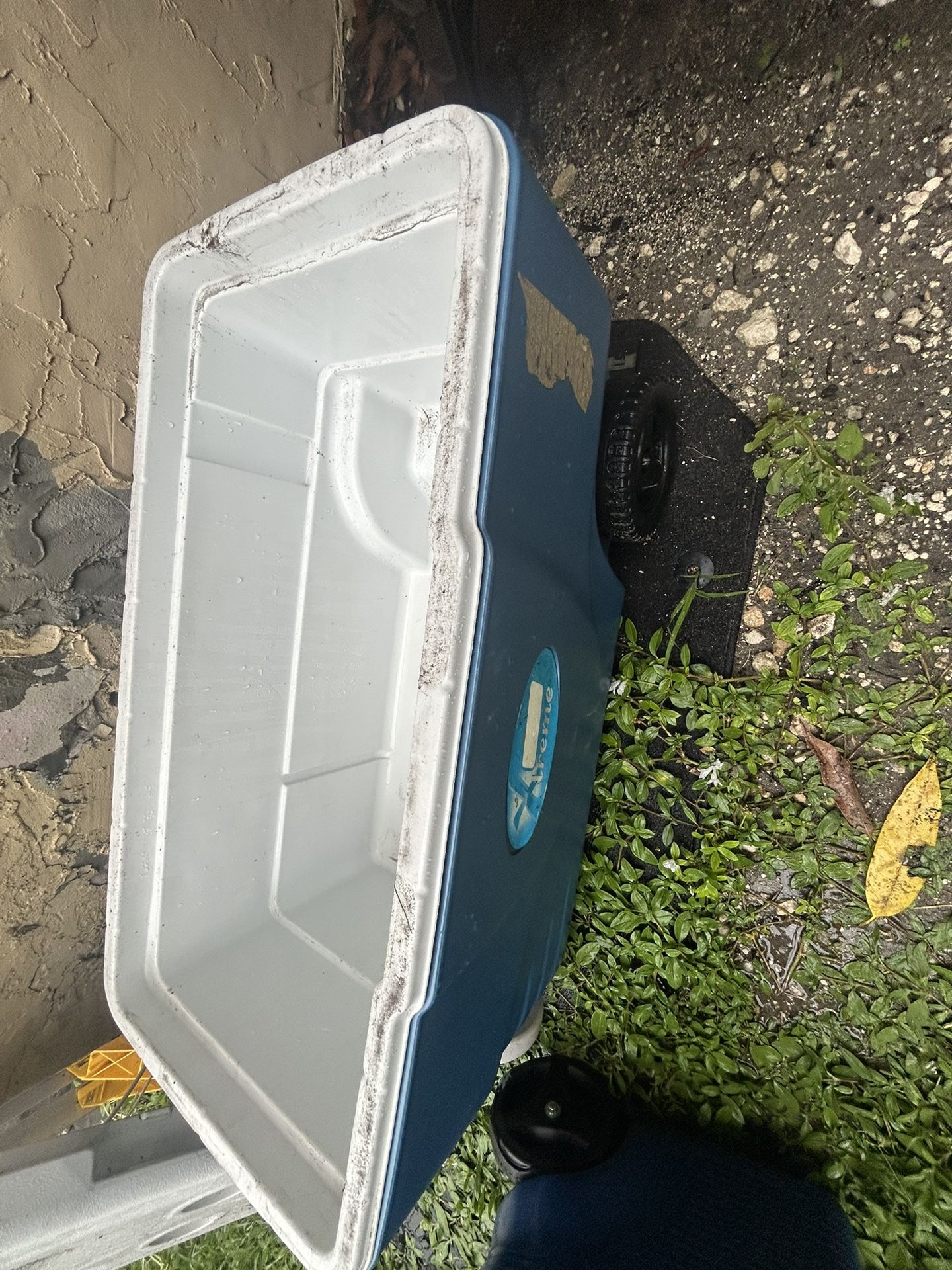 Cooler Xtreme Wheeled, Coleman