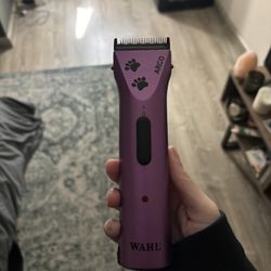 Wahl Clippers 