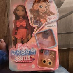 Barbie Dream BESTIES Doll