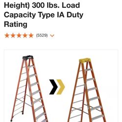 10 Ft Werner Ladder 