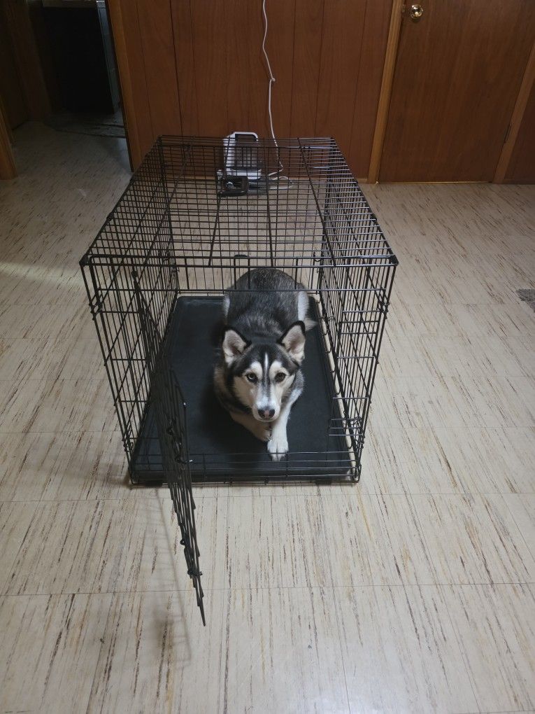 Large Sized Dog Crate/Cage