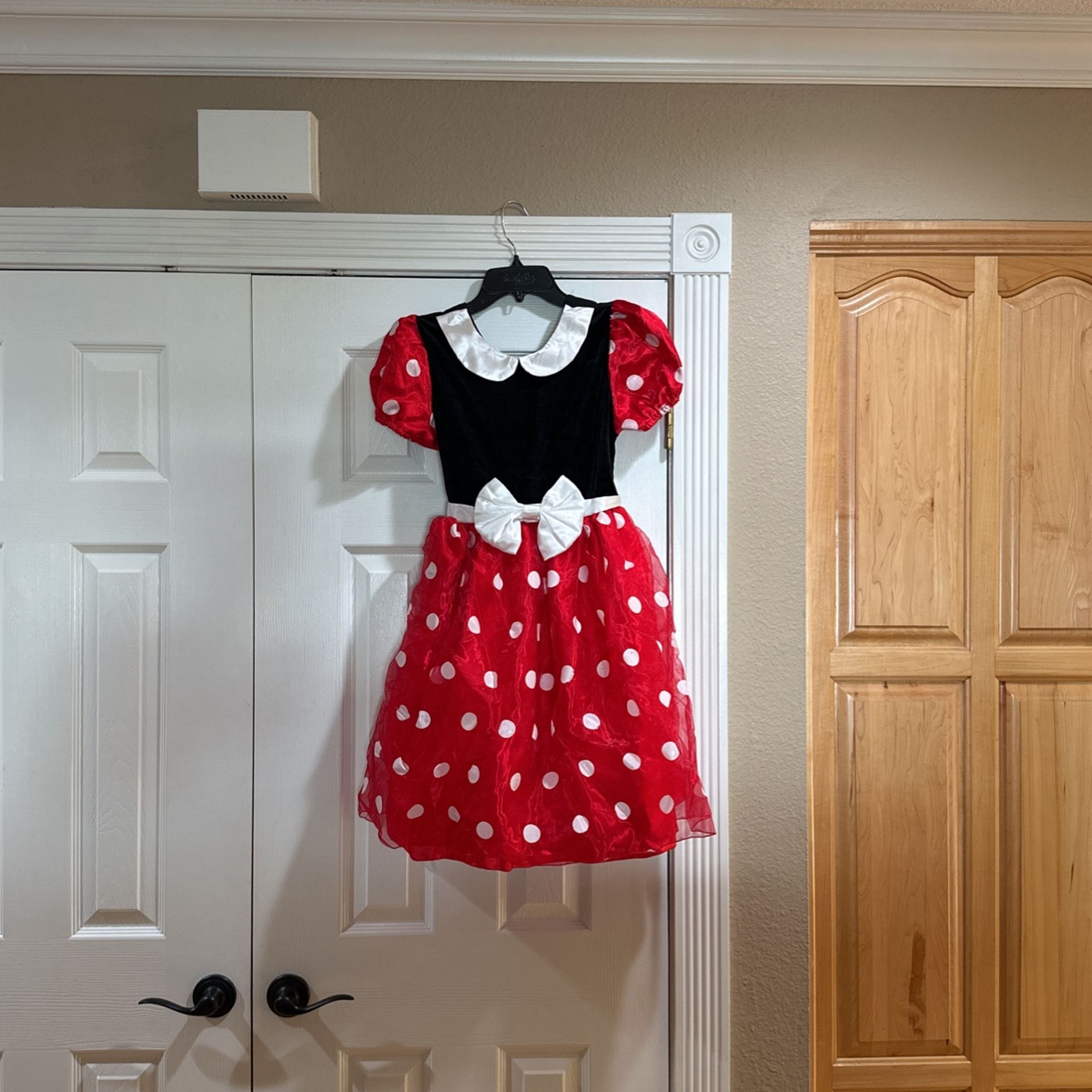 Minnie Mouse Costume