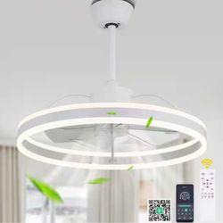 Ceiling Fan Light