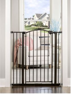 Extra Tall Arched Gate