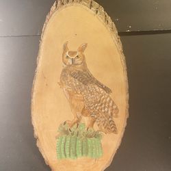 Handpainted Owl Signed Artwork Wood-Canvas (18x9”)