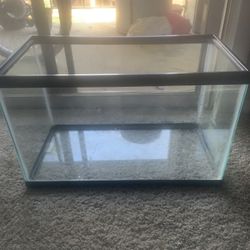 20 Gallon Tank Without Top