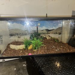 40 Gallon Reptile Tank