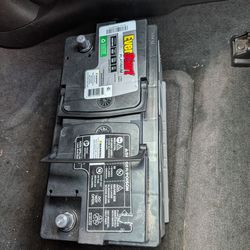 Everstart Platinum 5 Year Car Battery