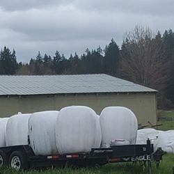 5 Organic Wrapped 2nd Cutting Hay Round Bales Left - Cows, Price Is Per, Delivery Is Extra