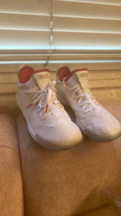 LEBRON NIKE AIR JORDAN SIZE 8