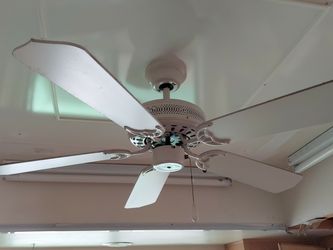 Ceiling Fans