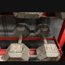 60 Lb Dumbbells