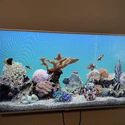 LG 50 In TV