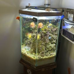 Acuario Marino 
