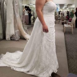 Size 18 Wedding Dress 