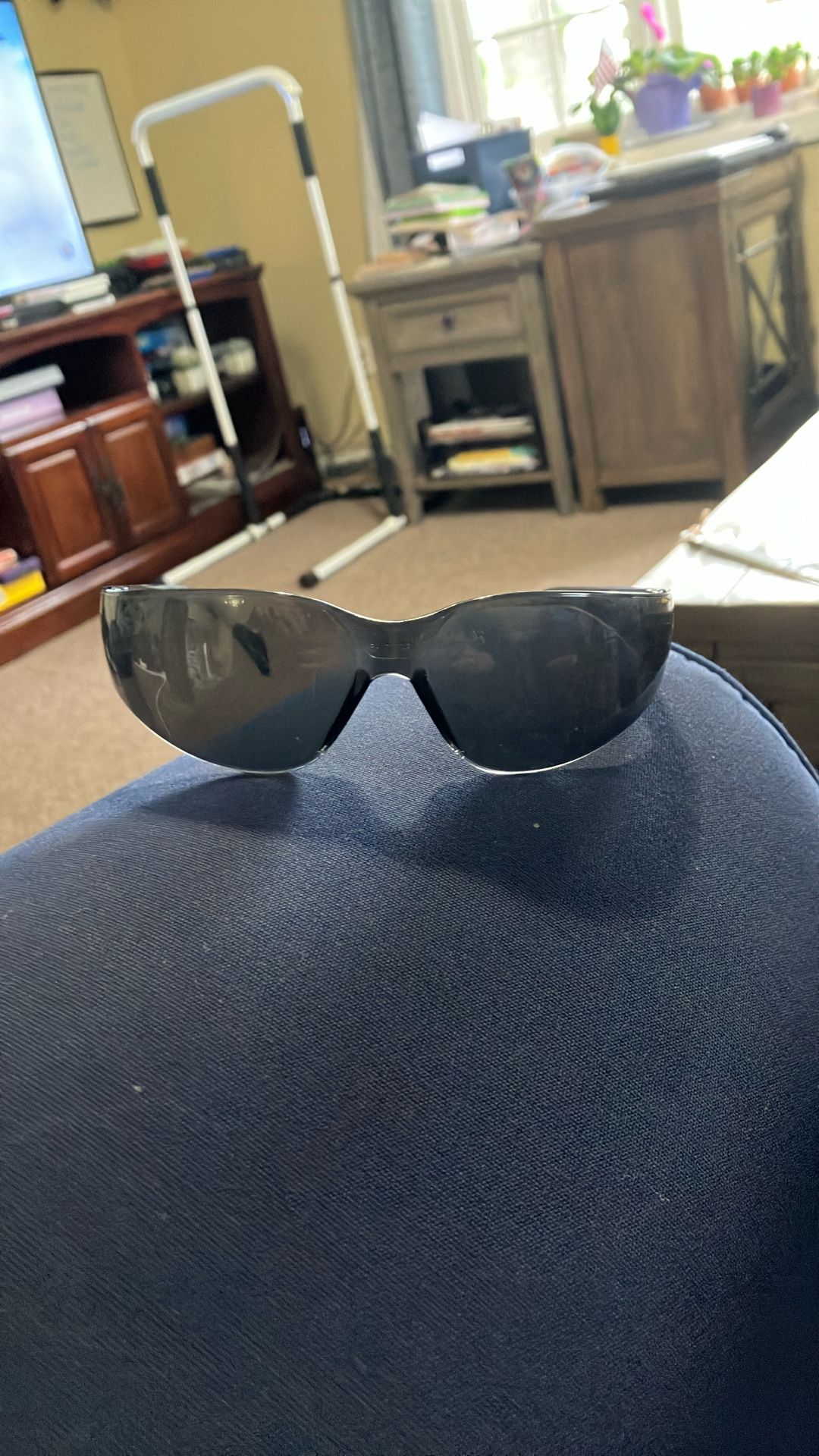 Provision Sunglasses