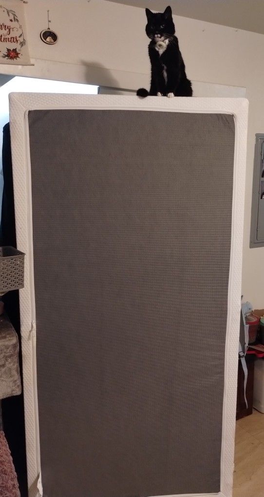 Collapsible Box Spring Twin