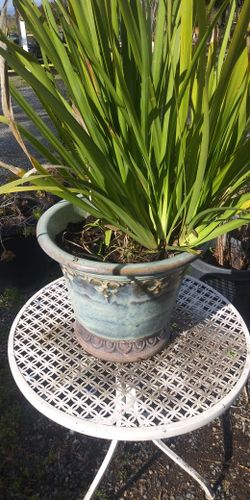 Pot With Fountain Metal ChairChair