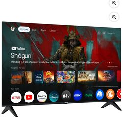 Phillips TV w/ Roku Stick