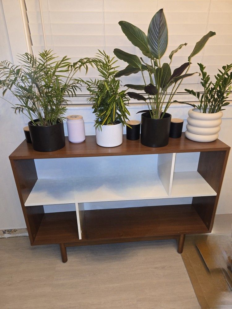 Tv Stand/ Book Shelf