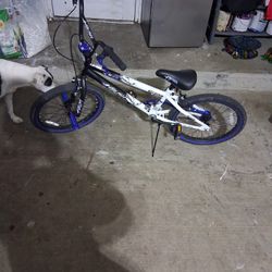 Fs20 20 Inch Bike Bule And White 