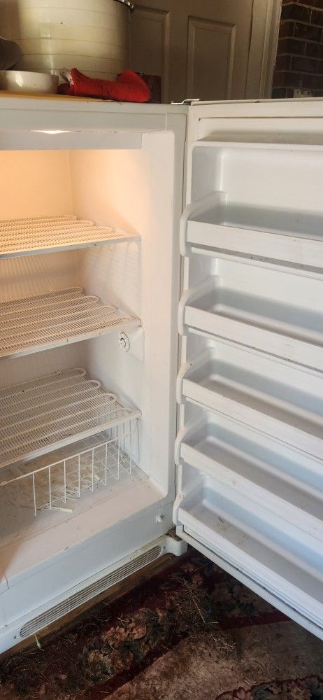 Stand Up Freezer