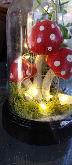 Cute Little Mushroom Light