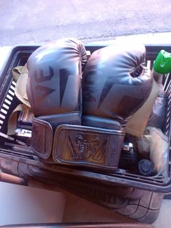 10 oz. Venum Boxing Gloves