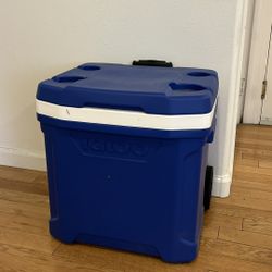 Igloo Cooler