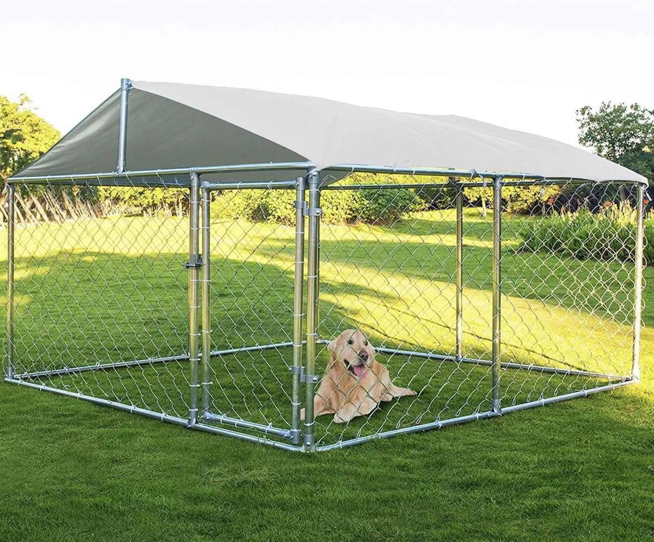 Dog Kennel
