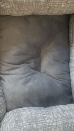 Like new Cat/Pet bad