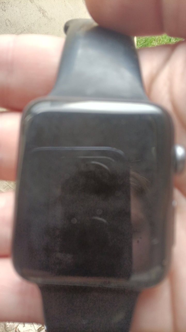 Series 3 Apple Watch