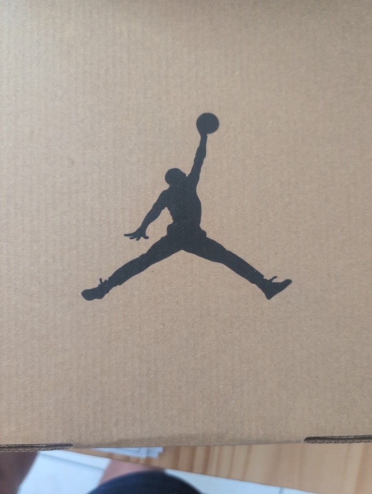 Air Jordan 12 Retro