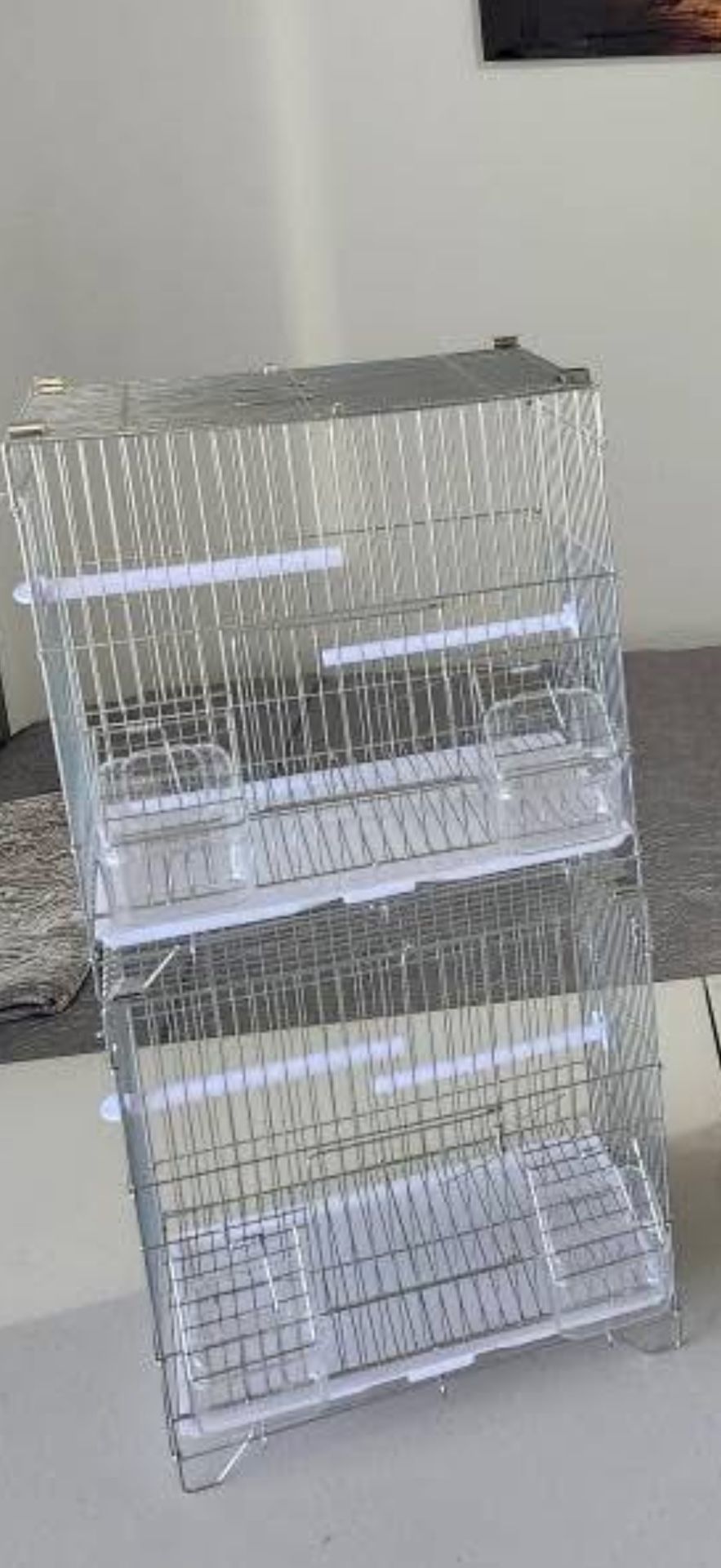 Jaula / Bird Cage