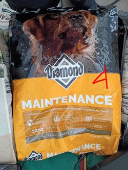 Dog food