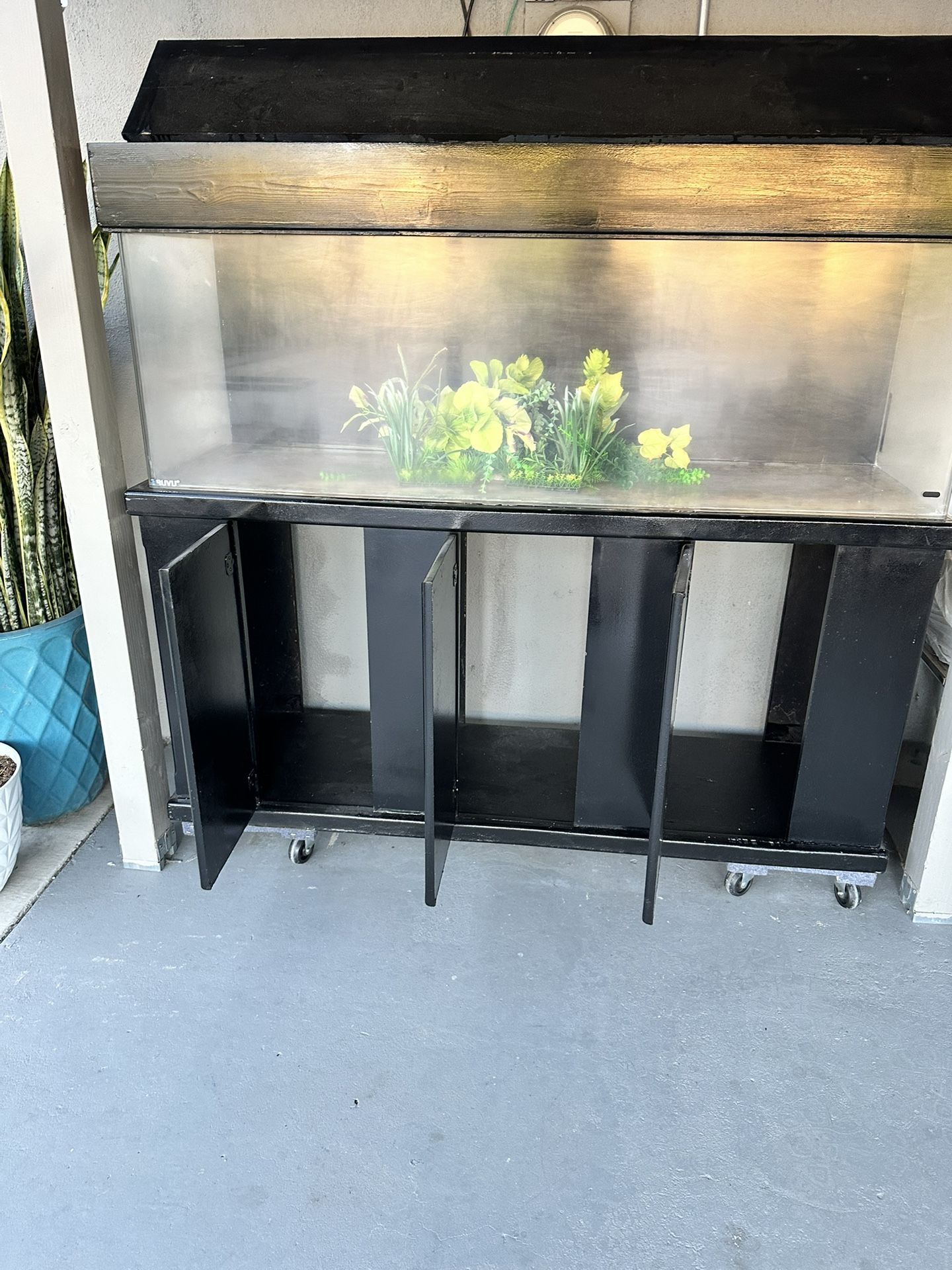 100 gallon acrylic fish tank