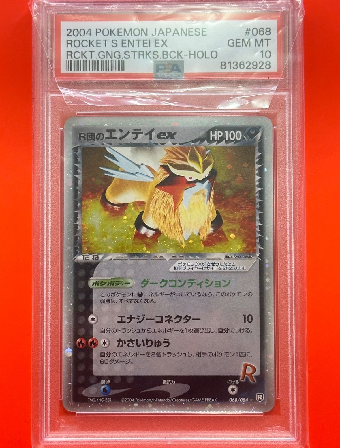 Pokémon Card Lot Storage Unit Find