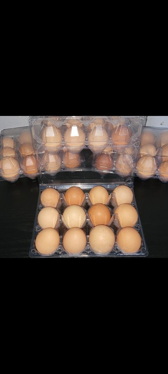 EGGS