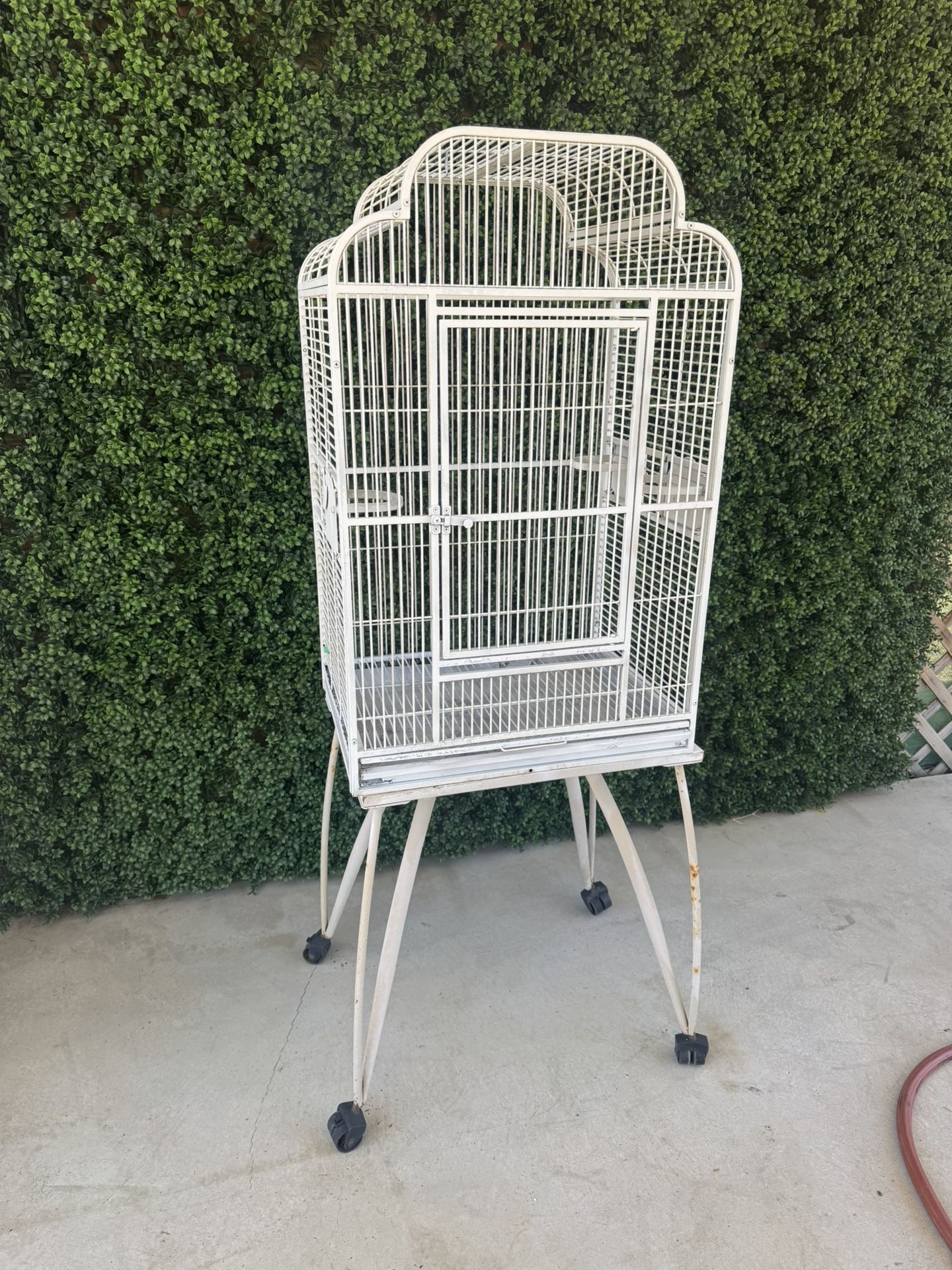 Bird Cage